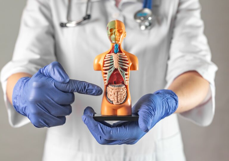 Anomalii congenitale ale intestinului subțire