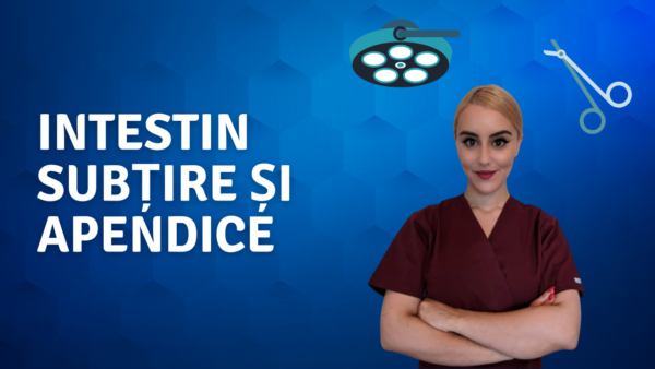 Intestin subțire și apendice