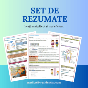 Set de rezumate Sinopsis