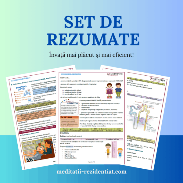 Set de rezumate Sinopsis